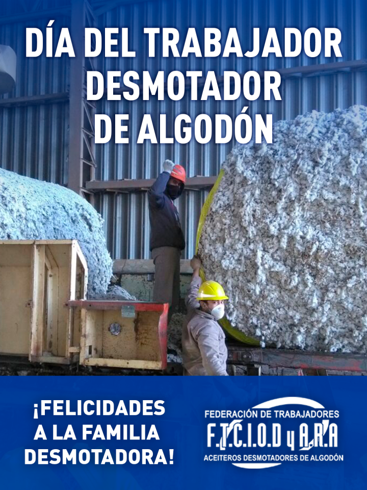 Nuevo Tamaño Ig Desmotadores 2026